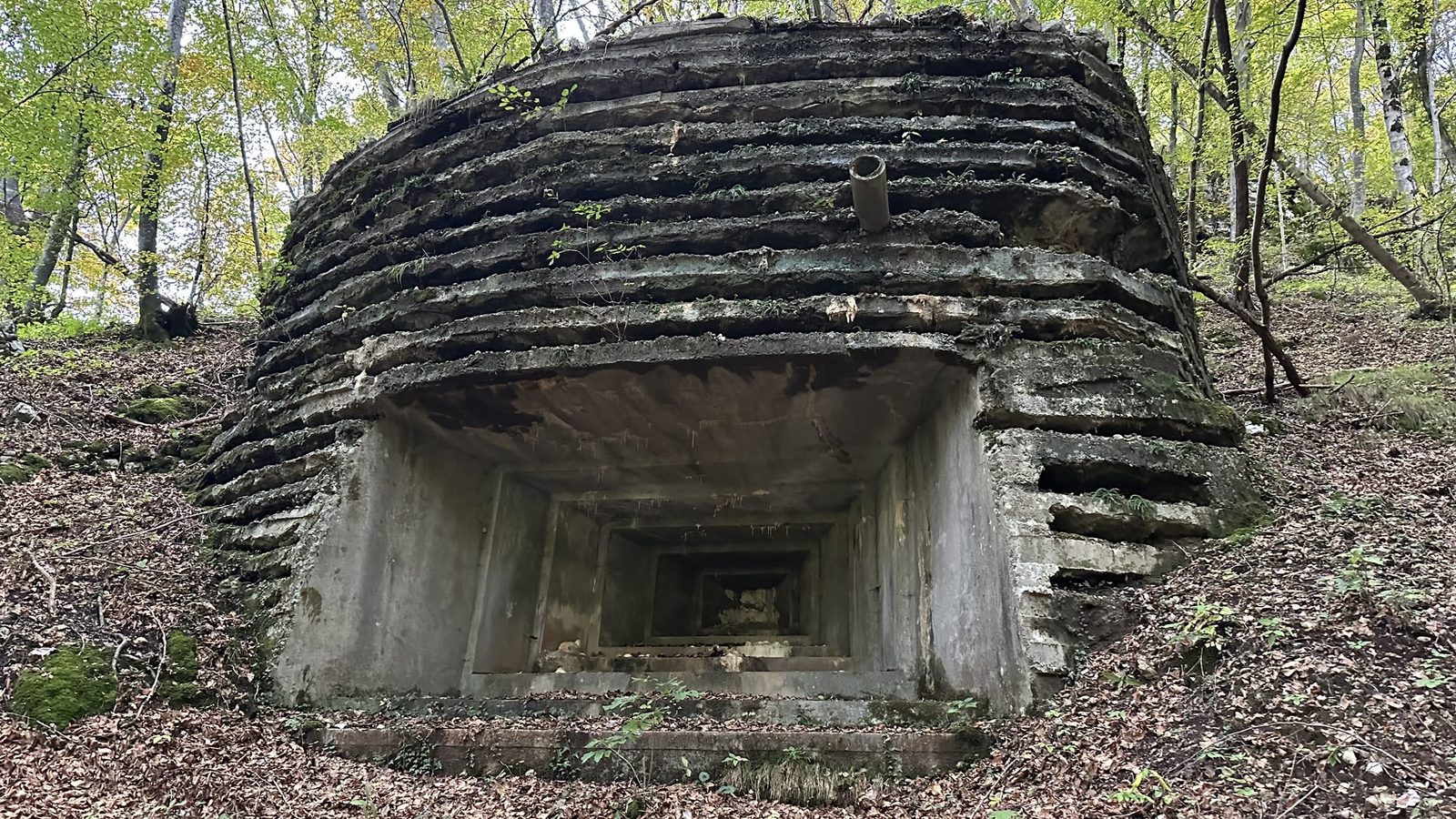 Bunker storico nei boschi vicino ad Ampezzo